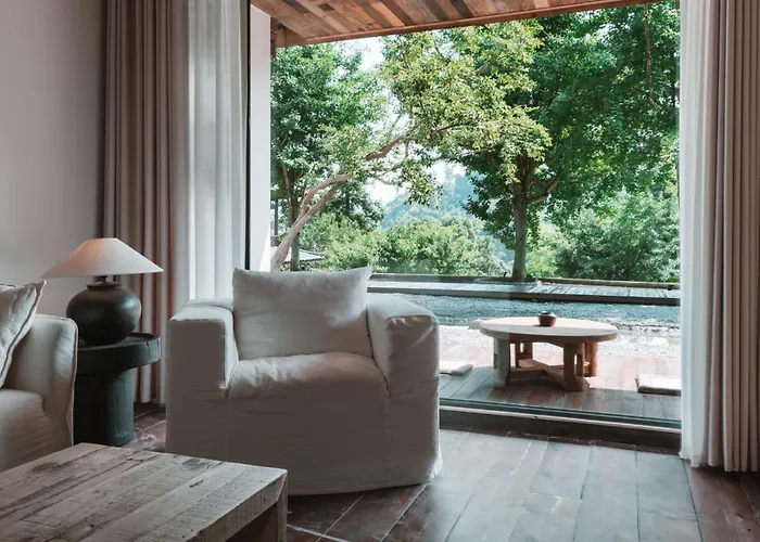 Yunxi Chanyi Forest Soup Spring Resort Hotel ,Provides Pick-Up Service And Tea Leaves,Drink Chinese Wild Tea Leaves