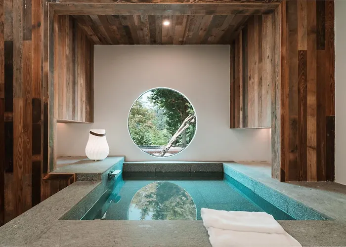 Yunxi Chanyi Forest Soup Spring Resort Hotel ,Provides Pick-Up Service And Tea Leaves,Drink Chinese Wild Tea Leaves