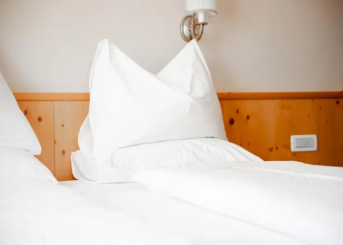 Hotel Europa Dolomites