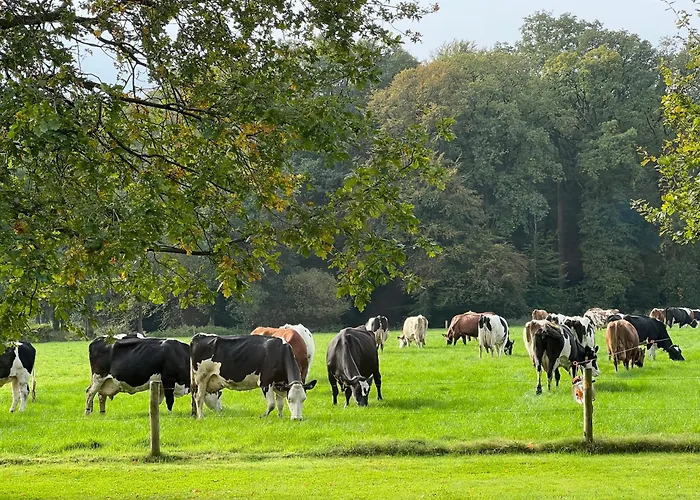 B&B Hof Van Heden