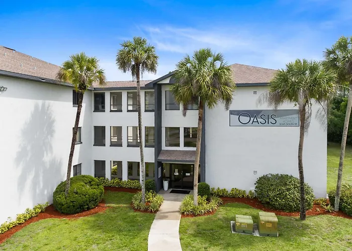 Oasis 316 - Palm Paradise