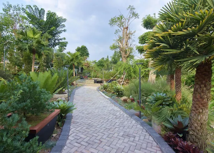 Sarga Earthing Resort