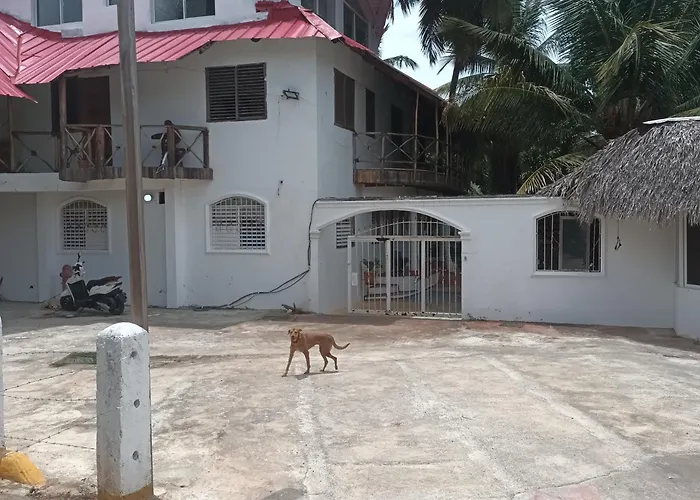 El Jardin Del Coco