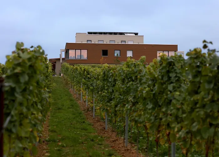 Voegelis Weinnest
