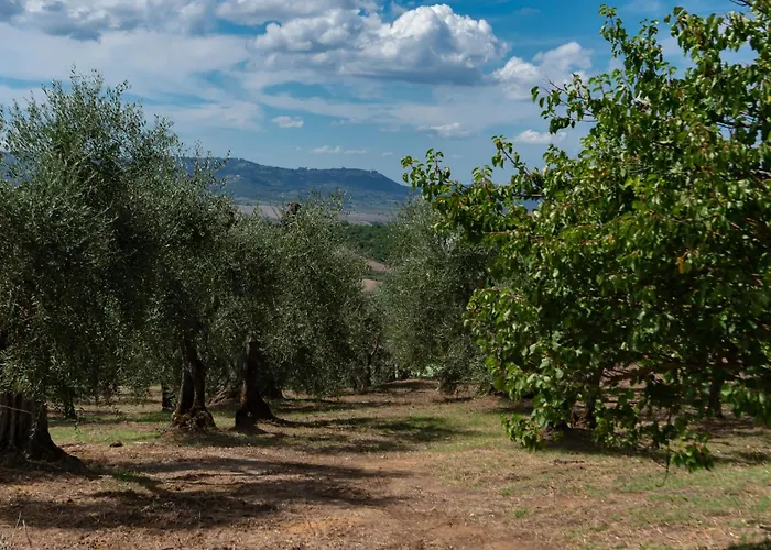 Il Miraggio In Val D'Orcia Relais & Spa
