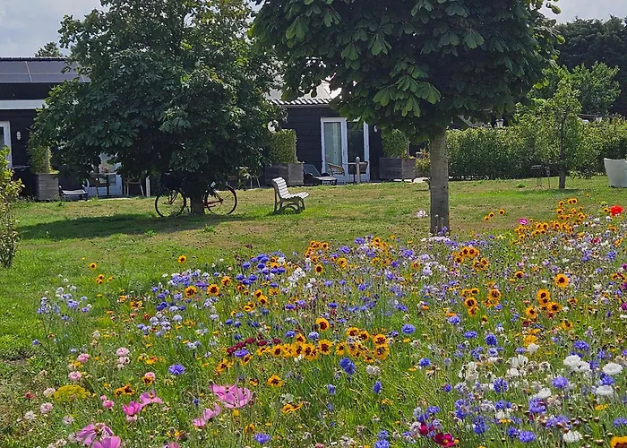 B&B Buutegeweun