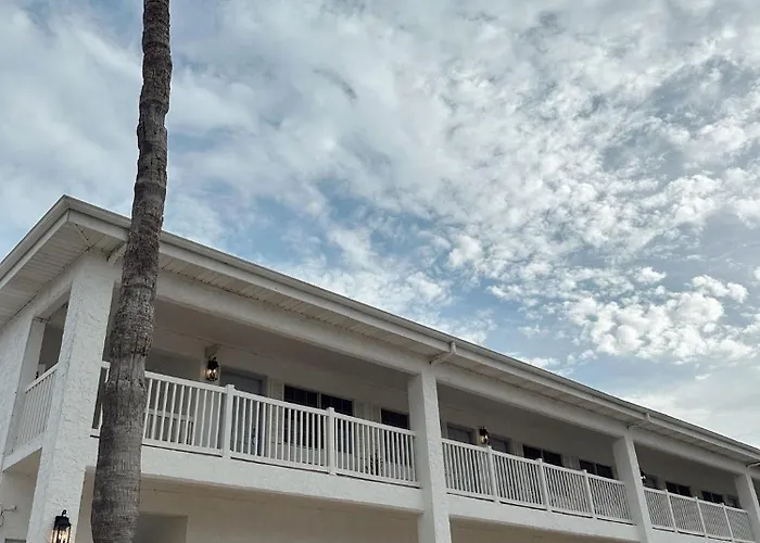 The Flamingo - South Padre Island