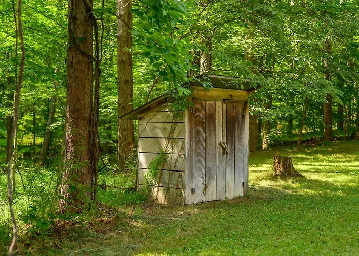 Cabin In The Pines