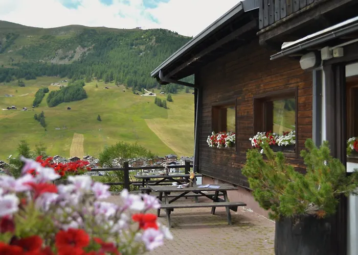 Hotel Teola