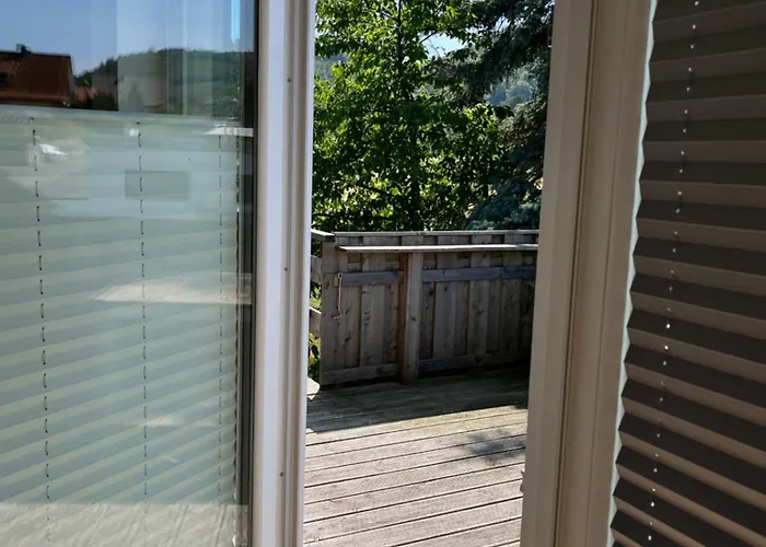Ferienwohnungen Harzblick