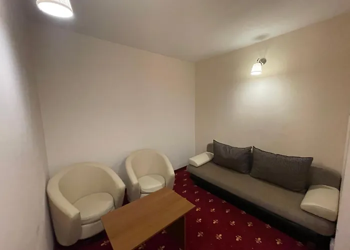 Hostel Paltinis