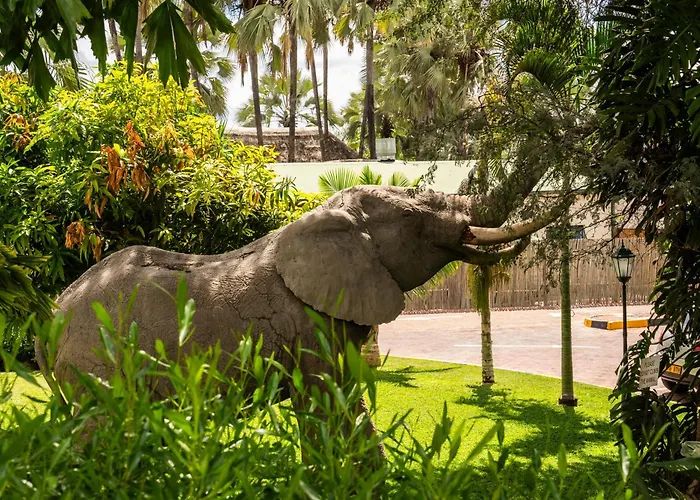 Maun Lodge