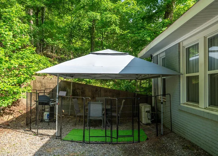 Spring Bungalow - A Cozy Getaway In Downtown Hot Springs!