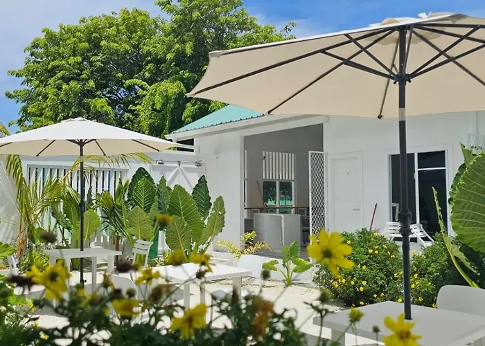 Avi Guesthouse
