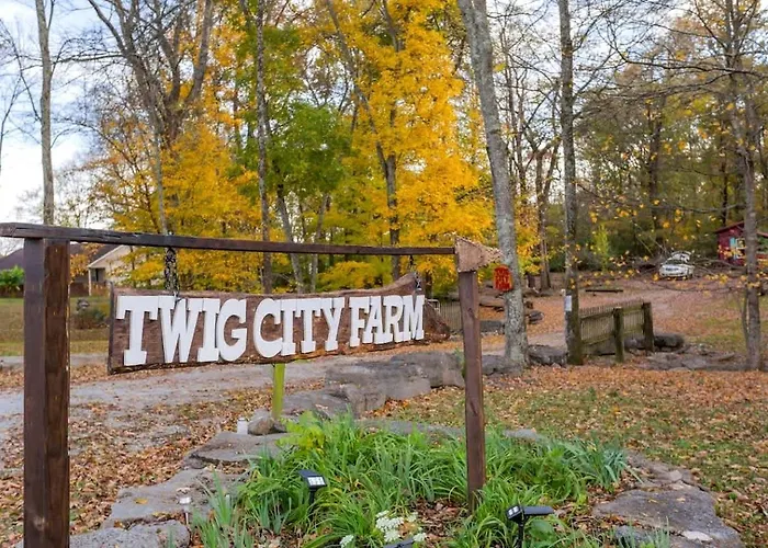 Hillbilly Chic Tiny House Near Nashville With Wifi, Kitchenette, Fire Pit & Trails