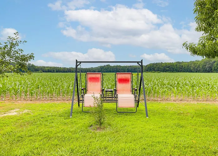 Getaway On 1/2 Acre W/ Deck In Georgetown