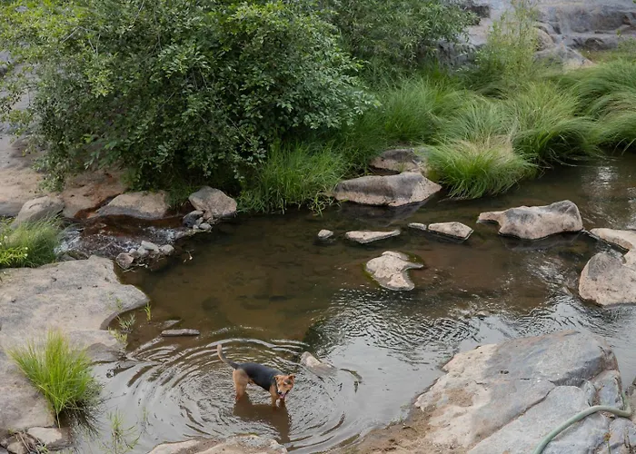 Buckeye Basecamp-40 Private, Pet Friendly Acres!