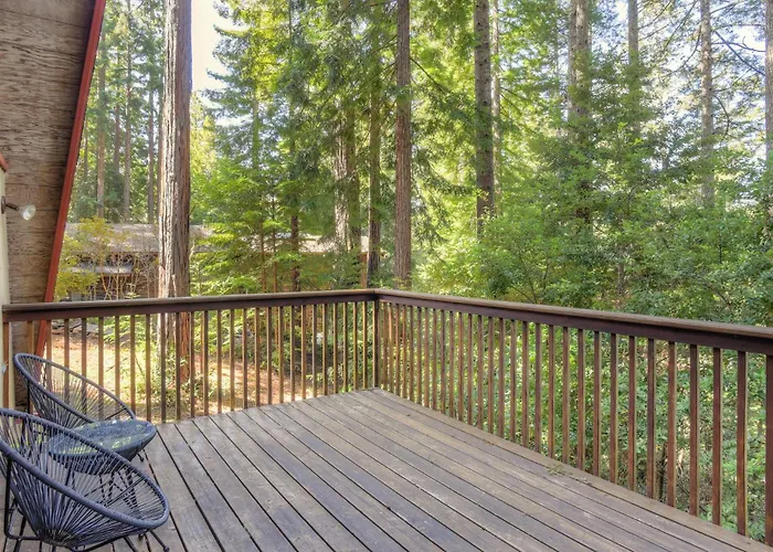 Star Nest - Secluded Forest Property