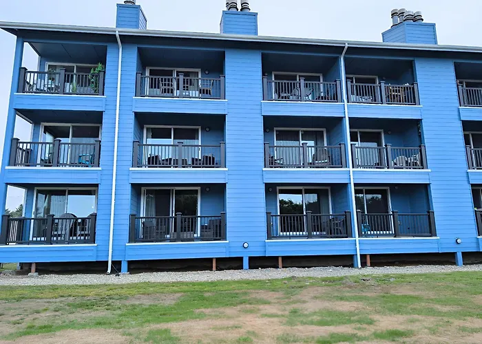 Calypso At Nautilus - Pet Friendly, Walk To Beach!