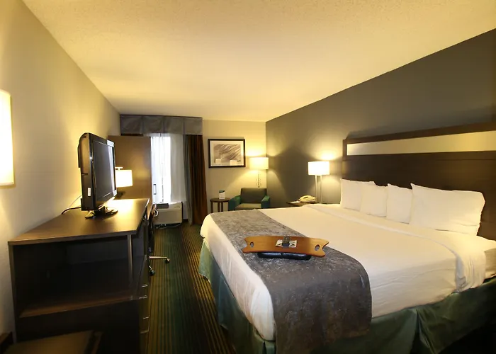Best Western O'Hare/Elk Grove Hotel