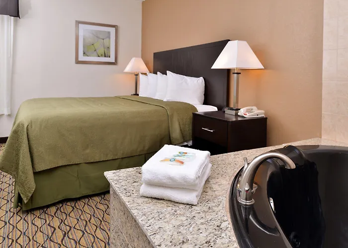 Quality Inn & Suites Matteson Near I-57