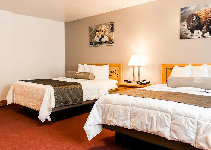 White Buffalo Hotel