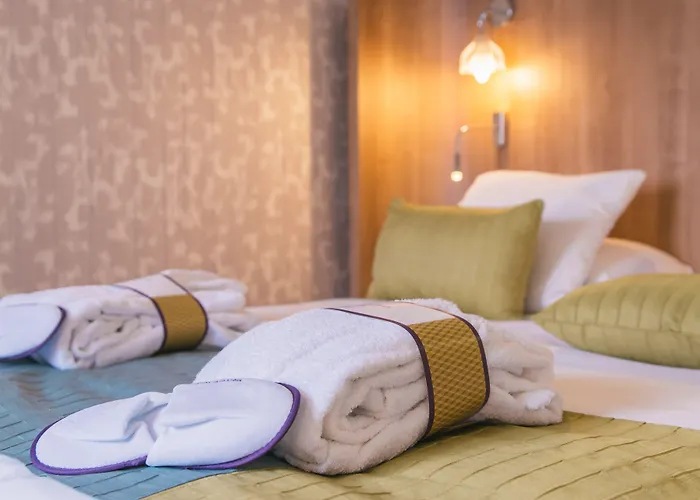 Mercure Angers Centre De Congres