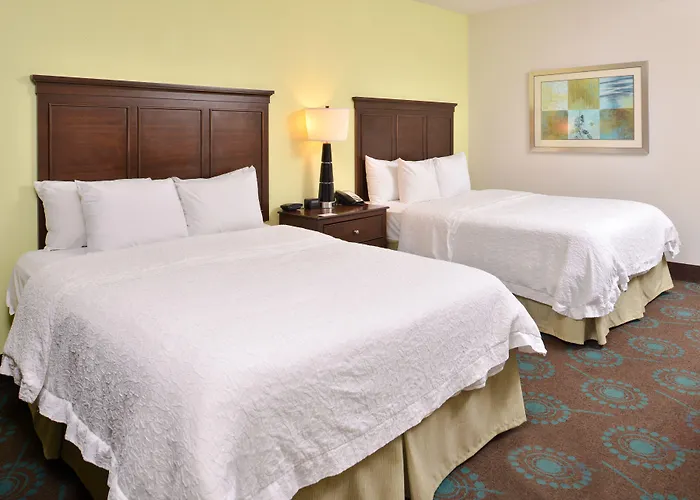 Hampton Inn & Suites Newport News-Airport - Oyster Point Area