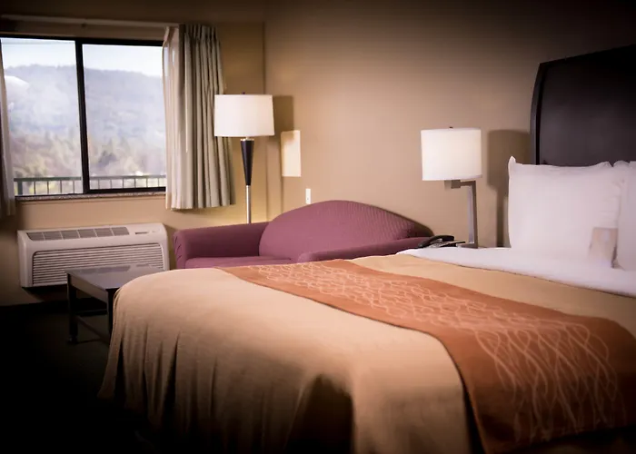 Comfort Inn Yosemite Area