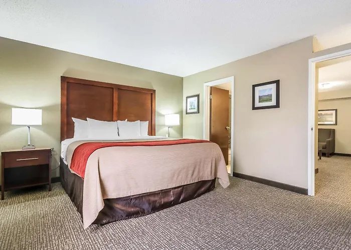 Comfort Inn & Suites Lexington - Hamburg I-75