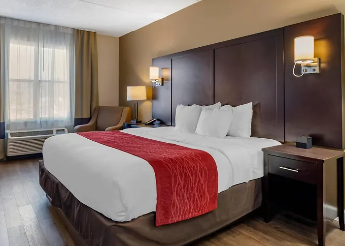 Comfort Inn & Suites Near Six Flags