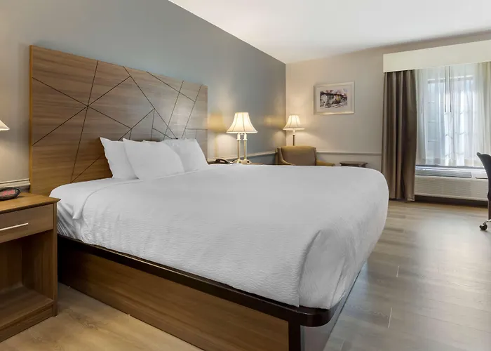 Best Western Plus South Hill Inn