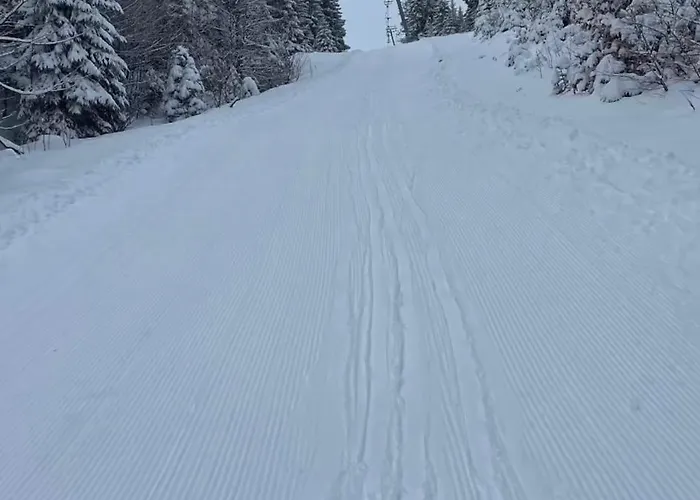 Hotel Snezna Kraljica Jahorina