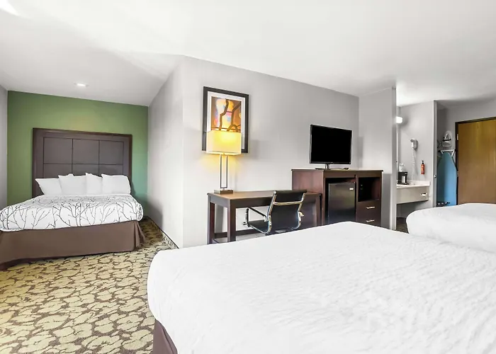 Surestay Plus Hotel By Best Western Bettendorf