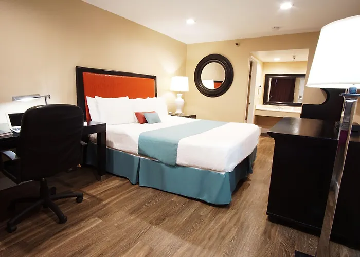 Vivo Hotel