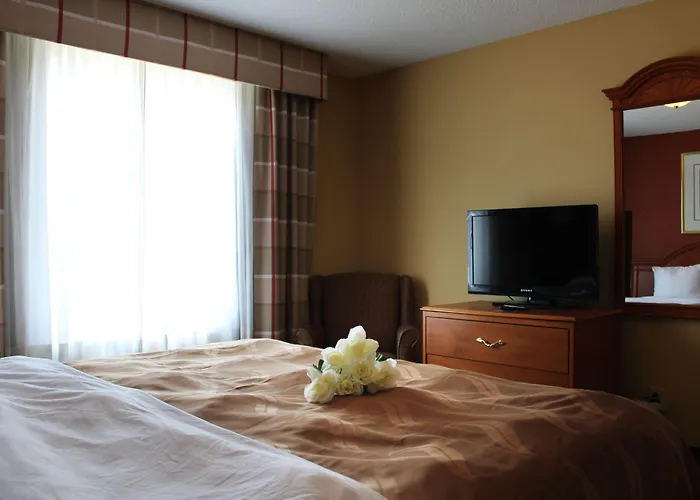 Quality Inn & Suites Cincinnati Sharonville