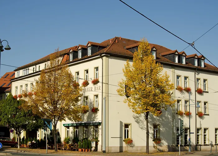 Schwarzer Bär Jena