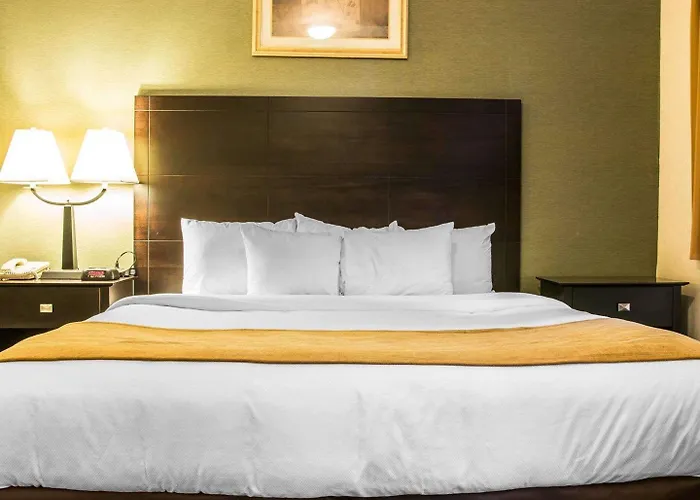 Comfort Inn Whitehall Near Michigan'S Adventure