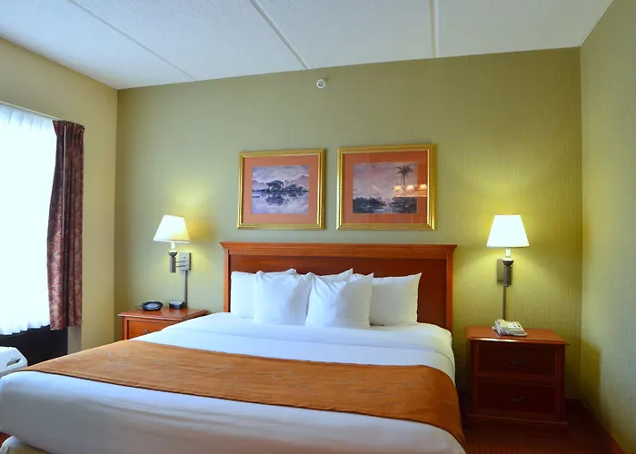 Comfort Suites Northlake