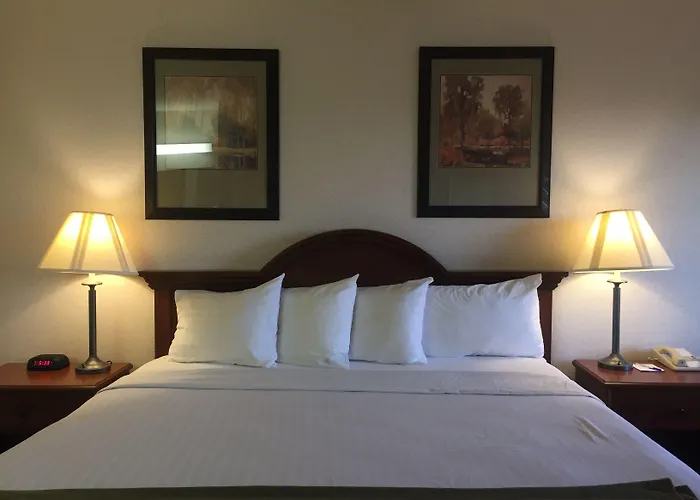 Quality Inn & Suites Willows