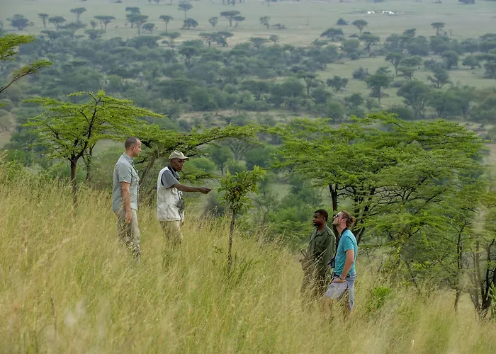 Serengeti Serena Safari Lodge