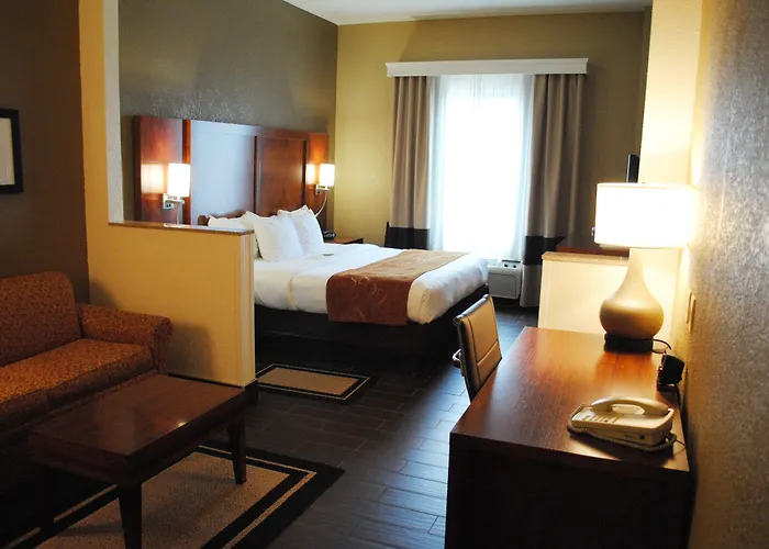 Comfort Suites Grand Rapids South