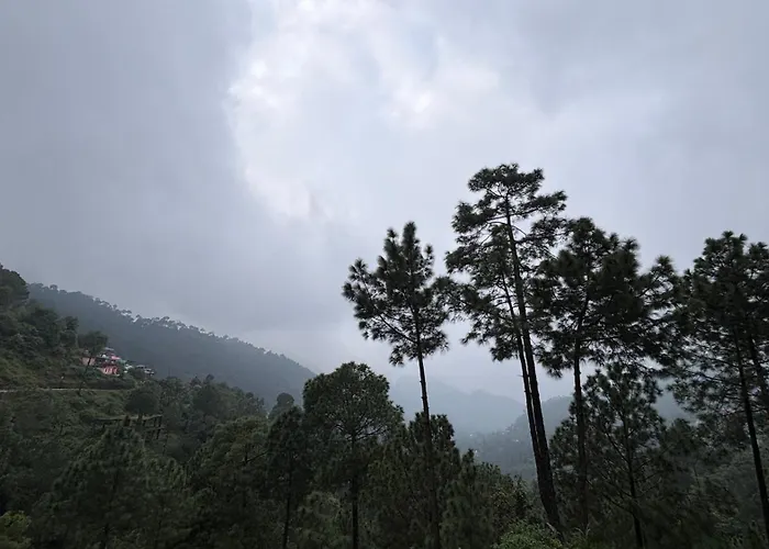 The Moonlight Stay Kasauli