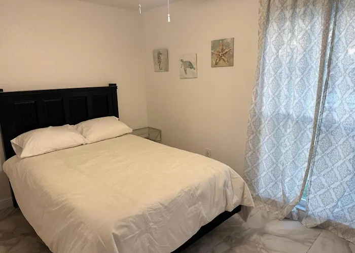 Family Home With Big Backyard In New Port Richey