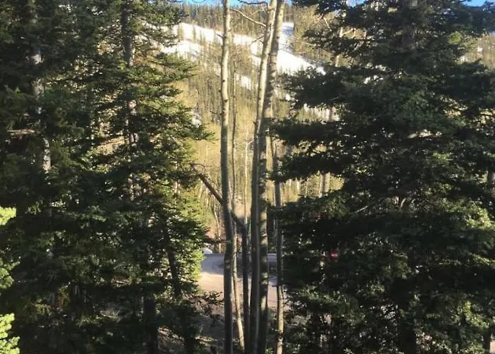 Eagle Point Ski Resort - Snowflake Condo 15