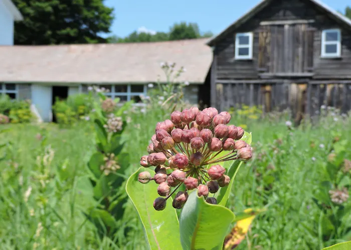 Saratoga Farmstead B&B