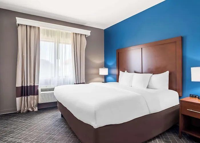 Comfort Suites Lindale - Tyler North
