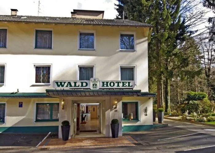 Wald-Hotel