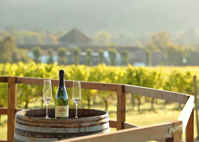 Denbies Vineyard Hotel