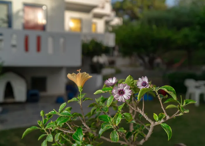 Plakias Bay Hotel